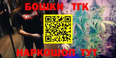 сатива Магадан